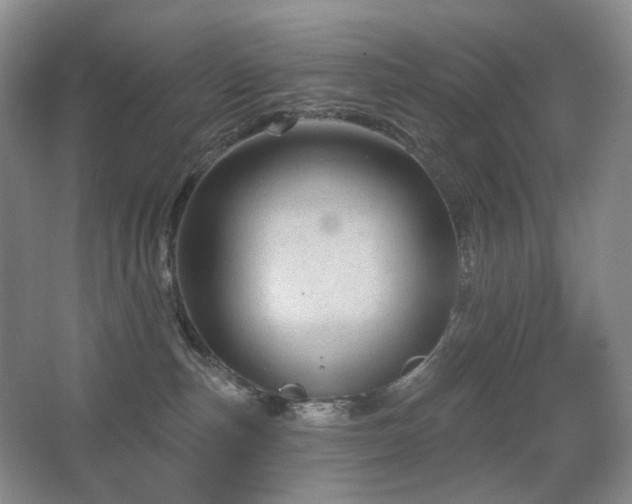 X0000067880187200604131312