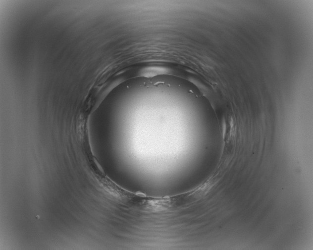 X0000067880188200604131312