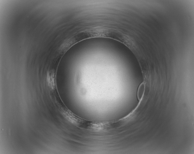 X0000067880190200604131312