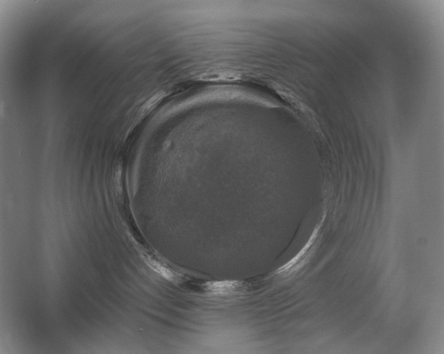 X0000067880192200604131312