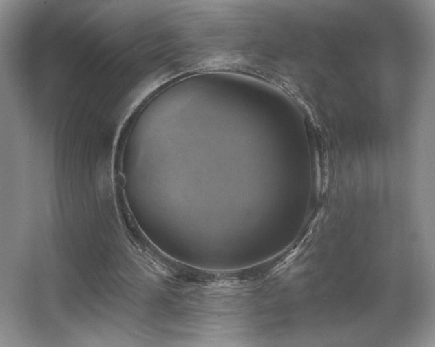 X0000067880196200604131311
