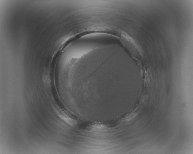 X0000067880203200604131311