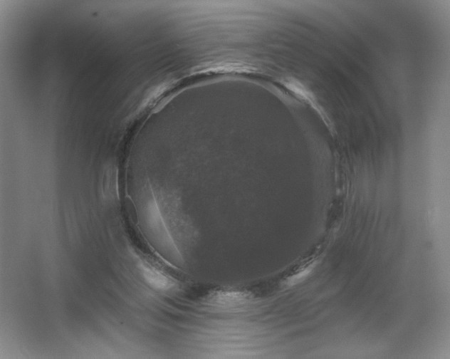 X0000067880205200604131311