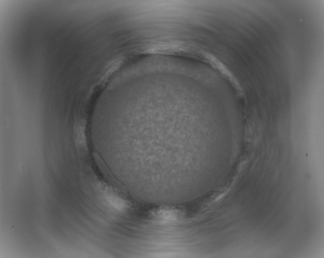 X0000067880209200604131311