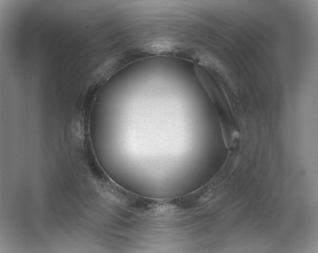 X0000067880210200604131311