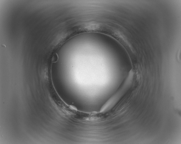X0000067880212200604131311