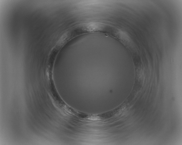 X0000067880214200604131311
