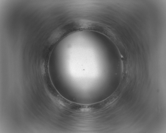 X0000067880216200604131311