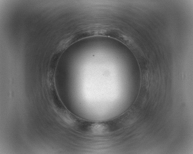 X0000067880218200604131311