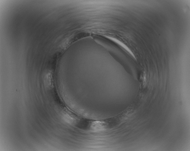 X0000067880222200604131311