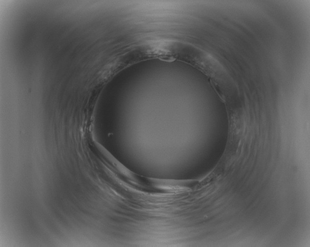 X0000067880223200604131311