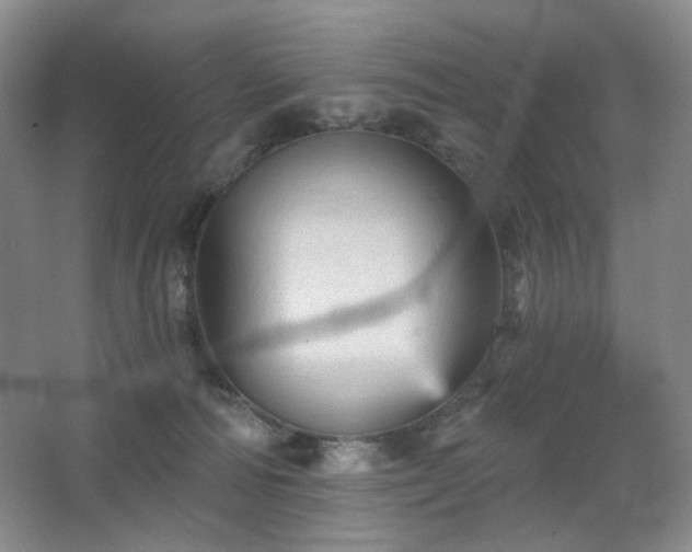 X0000067880226200604131311