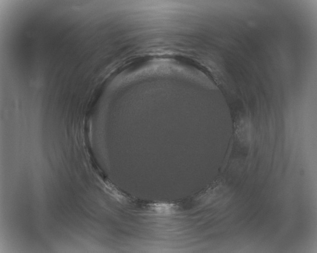 X0000067880233200604131310