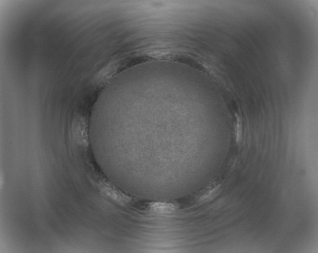 X0000067880234200604131310