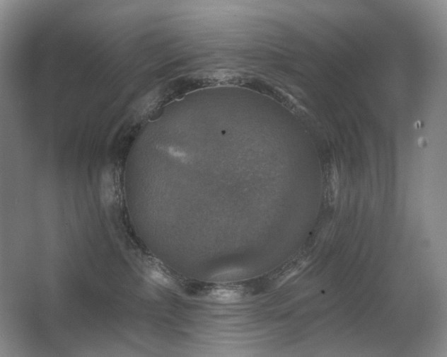 X0000067880236200604131310