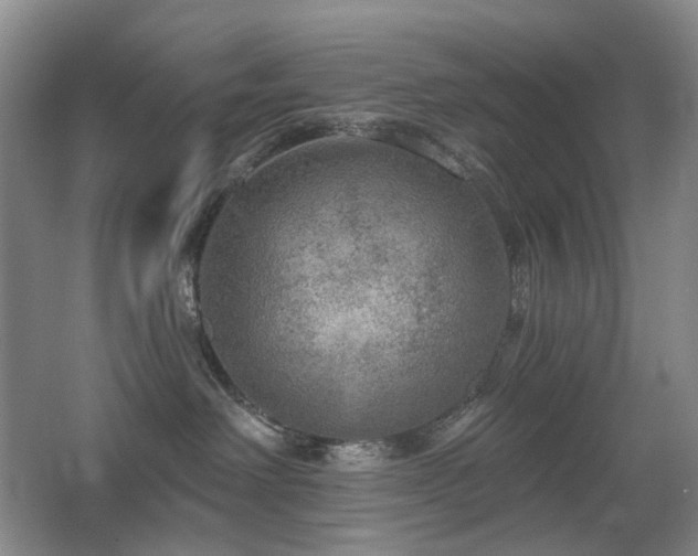 X0000067880238200604131310