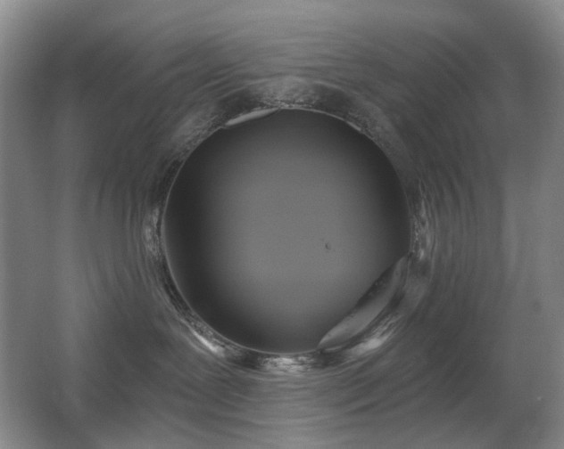 X0000067880239200604131310
