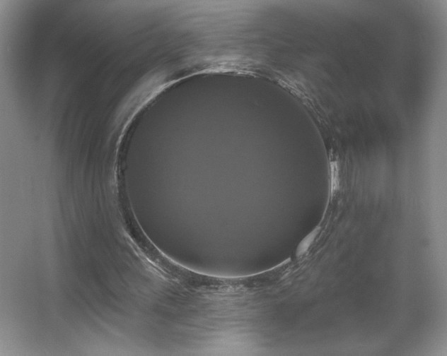 X0000067880243200604131310