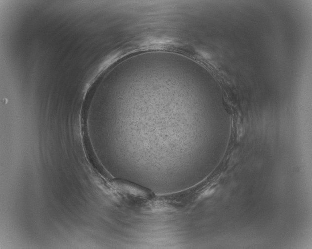 X0000067880244200604131310