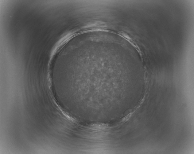 X0000067880245200604131310