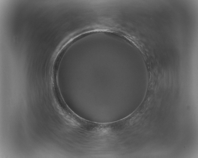 X0000067880247200604131310