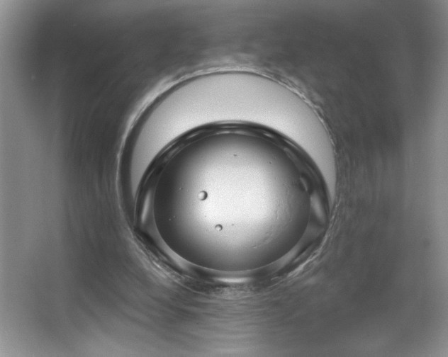 X0000067880248200604131310