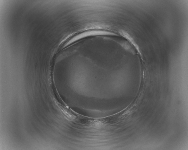X0000067880249200604131310
