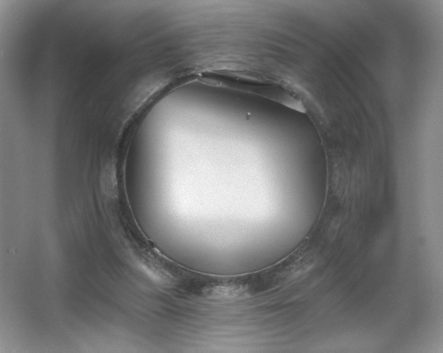 X0000067880251200604131310