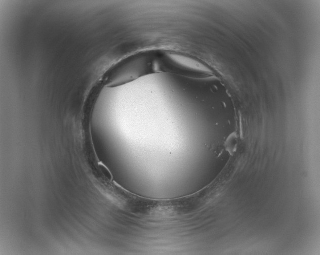X0000067880252200604131310