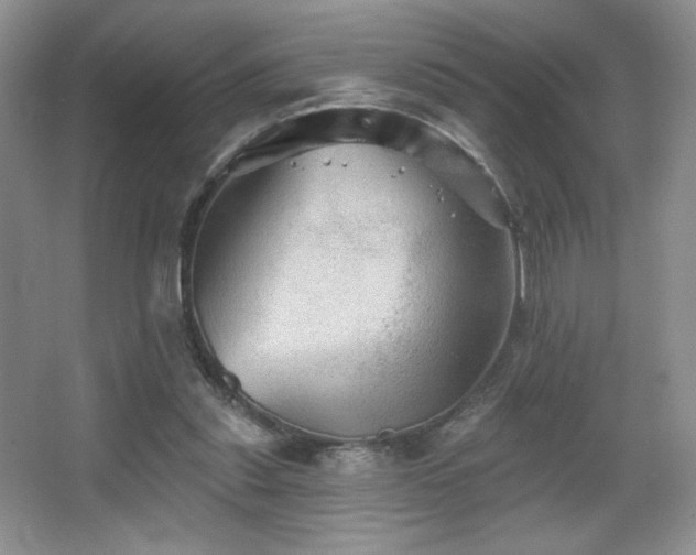 X0000067880253200604131310