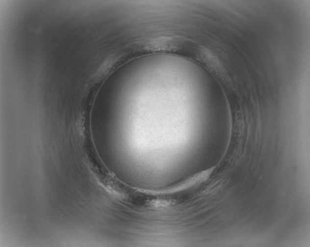 X0000067880255200604131310