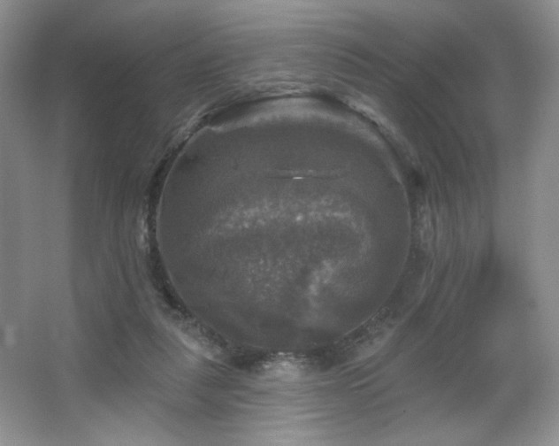 X0000067880259200604131310