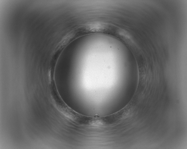 X0000067880262200604131310