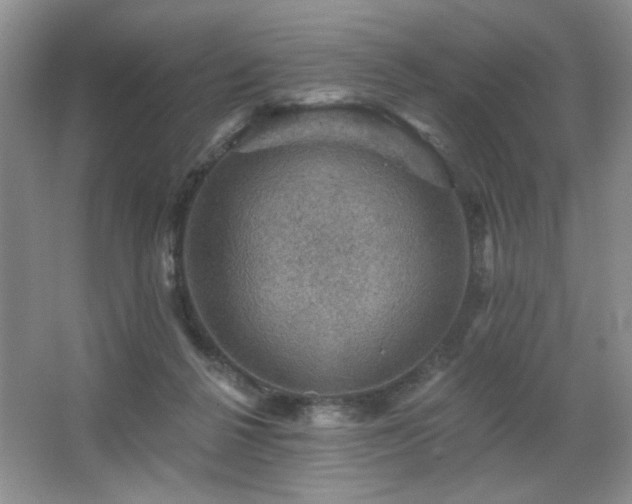 X0000067880264200604131310