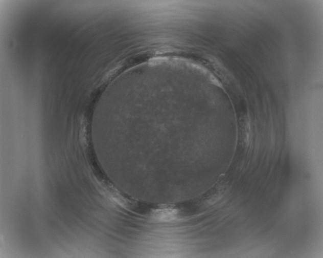 X0000067880266200604131310