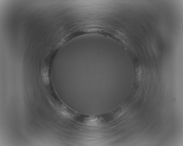 X0000067880267200604131310