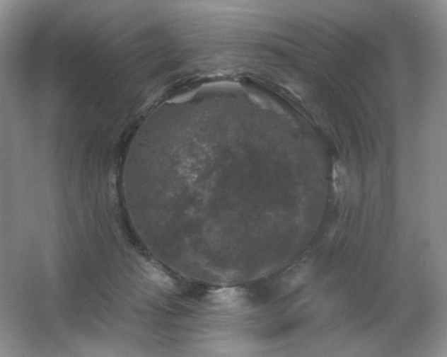 X0000067880269200604131310