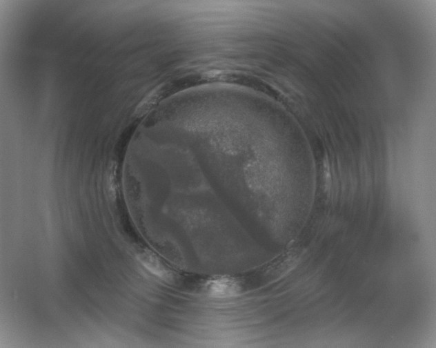 X0000067880275200604131310
