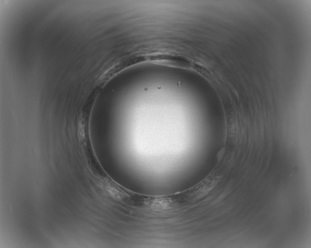 X0000067880282200604131310