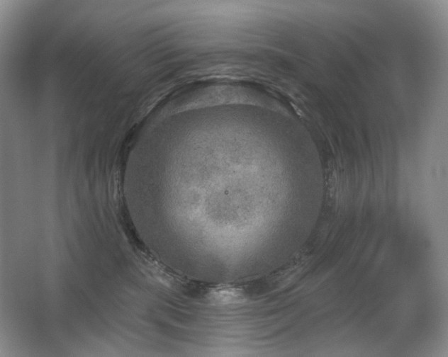 X0000067880283200604131310