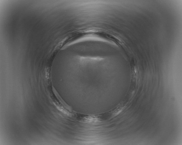 X0000067880284200604131310