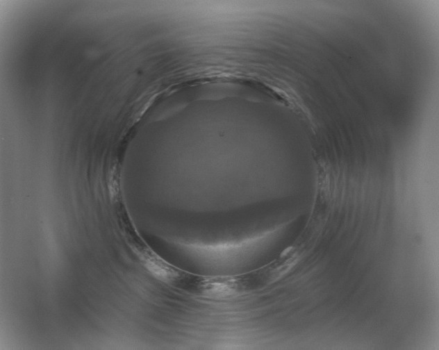X0000067880285200604131310