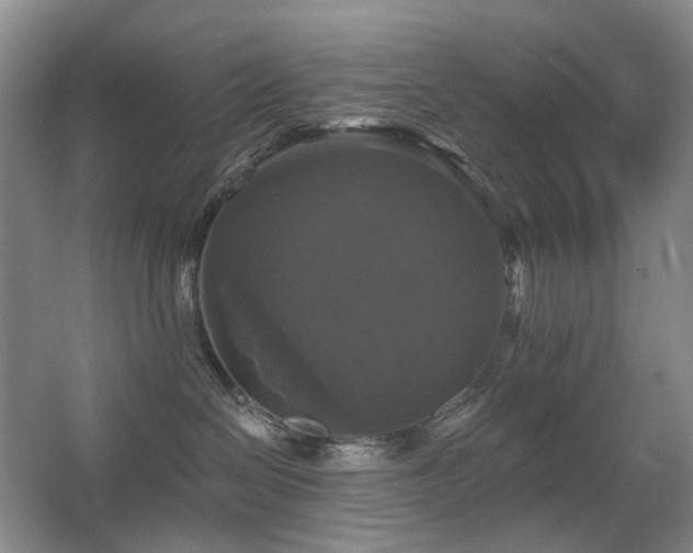 X0000067880286200604131310
