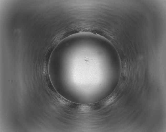X0000067880287200604131310