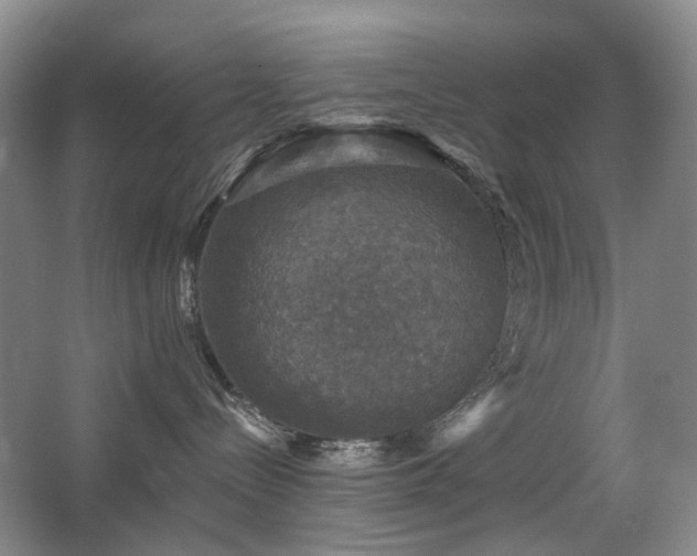 X0000067880288200604131310