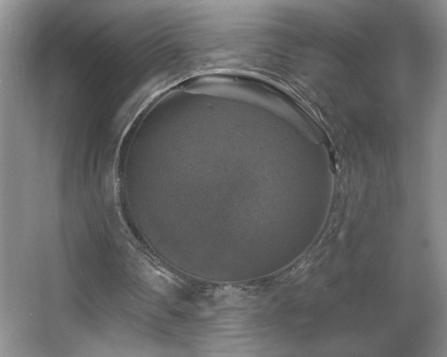 X0000067880290200604131309
