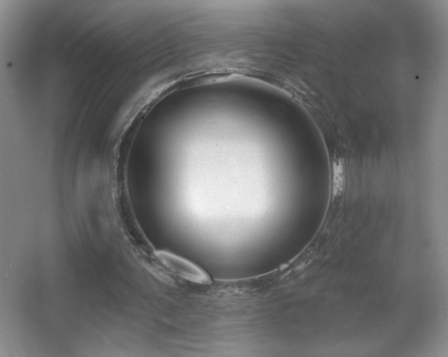 X0000067880291200604131309