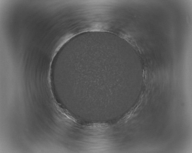 X0000067880292200604131309