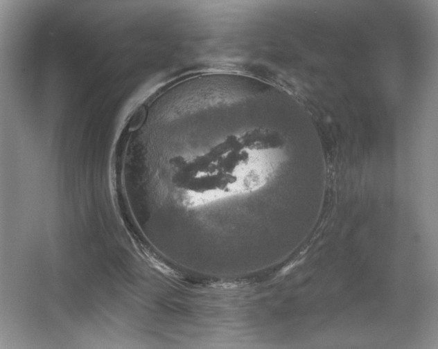 X0000067880294200604131309