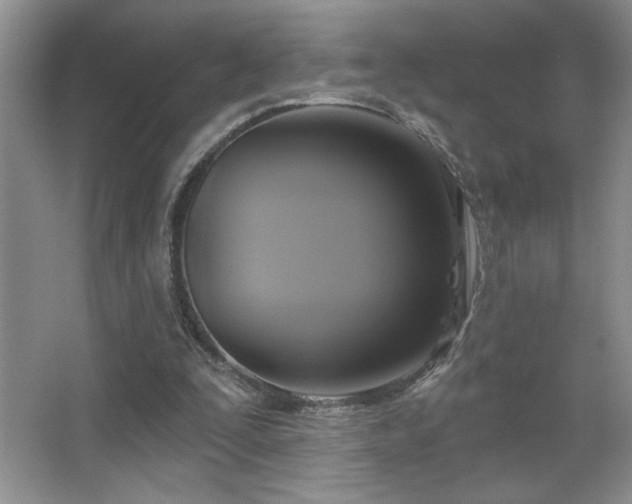 X0000067880295200604131309